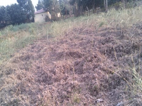 Wildlife crop loss